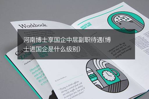 河南博士享国企中层副职待遇(博士进国企是什么级别)