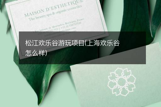 松江欢乐谷游玩项目(上海欢乐谷怎么样)