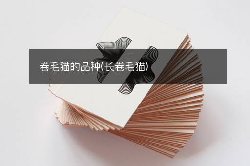 卷毛猫的品种(长卷毛猫)