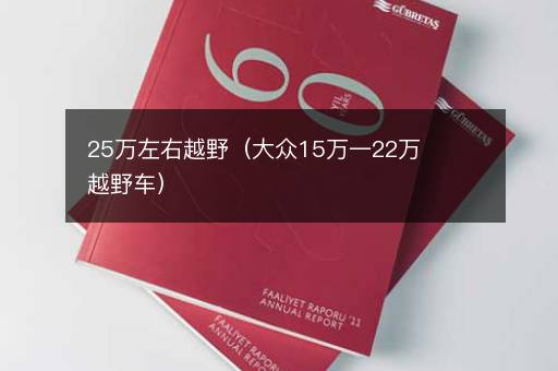 25万左右越野（大众15万一22万越野车）
