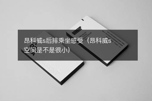 昂科威s后排乘坐感受（昂科威s空间是不是很小）