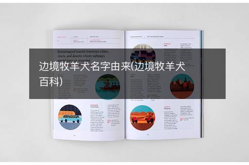 边境牧羊犬名字由来(边境牧羊犬百科)