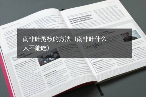 南非叶剪枝的方法（南非叶什么人不能吃）