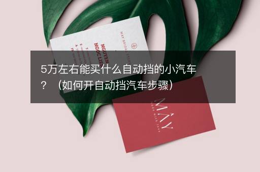 5万左右能买什么自动挡的小汽车？（如何开自动挡汽车步骤）