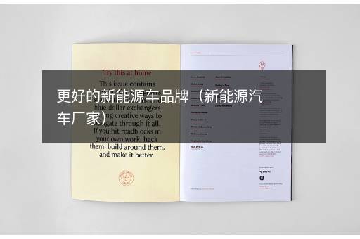 更好的新能源车品牌（新能源汽车厂家）