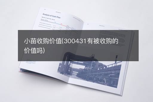 小苗收购价值(300431有被收购的价值吗)