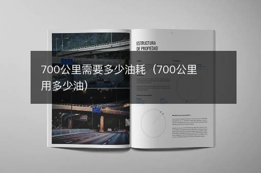 700公里需要多少油耗（700公里用多少油）
