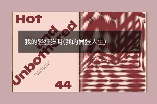 我的轻狂岁月(我的嚣张人生)