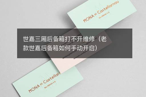 世嘉三厢后备箱打不开维修（老款世嘉后备箱如何手动开启）