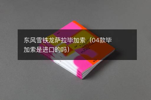 东风雪铁龙萨拉毕加索（04款毕加索是进口的吗）