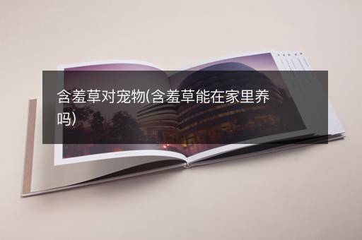 含羞草对宠物(含羞草能在家里养吗)