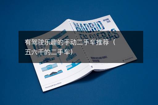 有驾驶乐趣的手动二手车推荐（五六千的二手车）